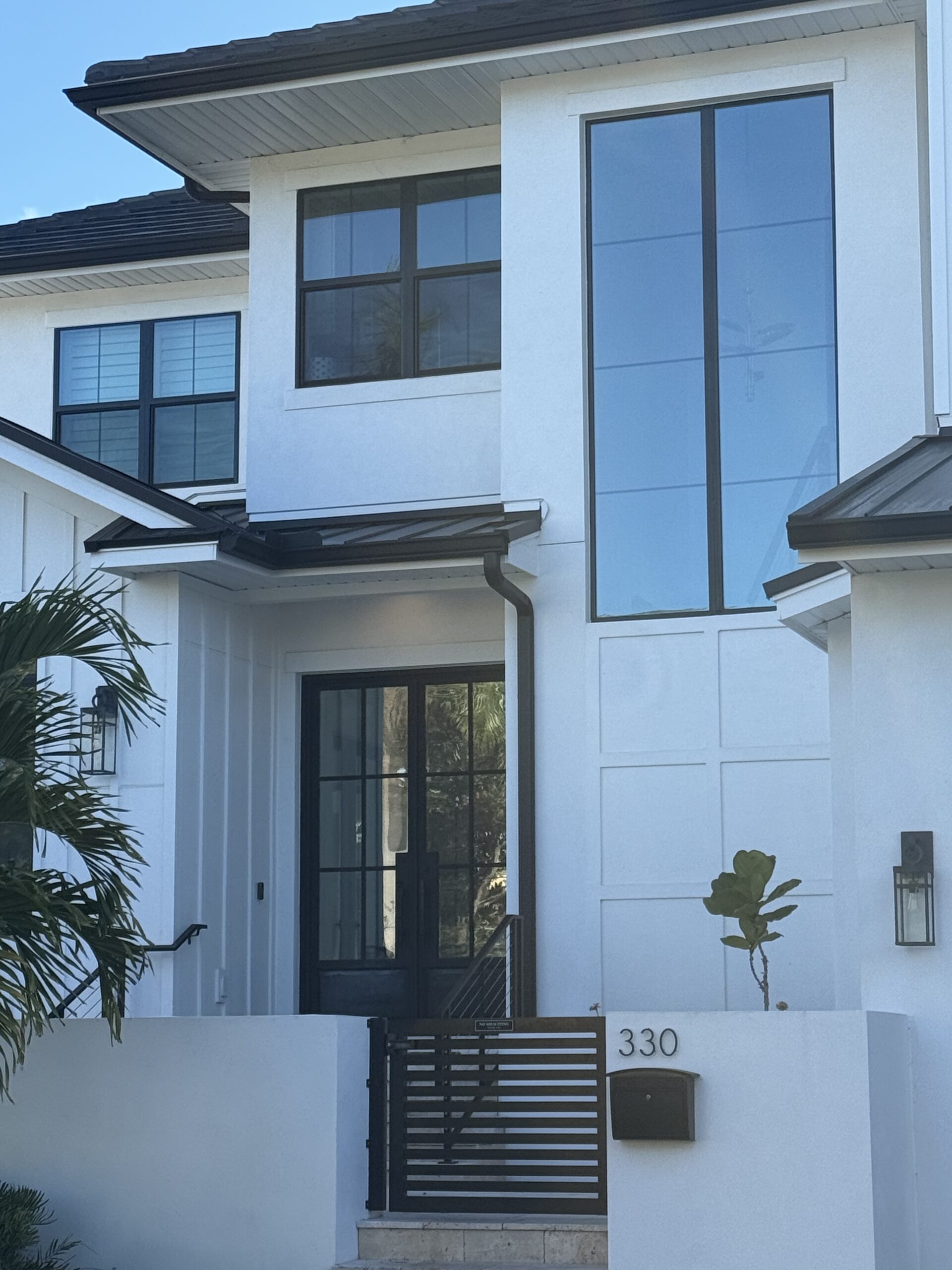 Modern interior steel and glass doors