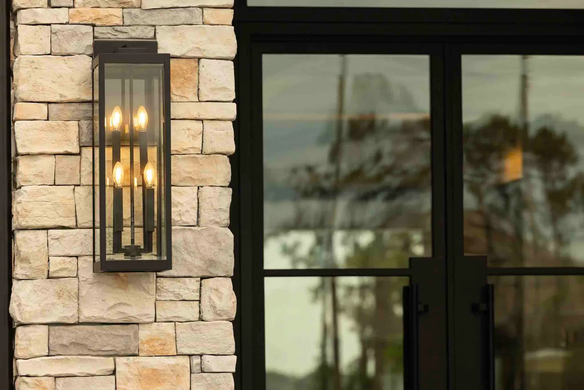 Modern SlimLine custom steel doors and windows at luxury residence